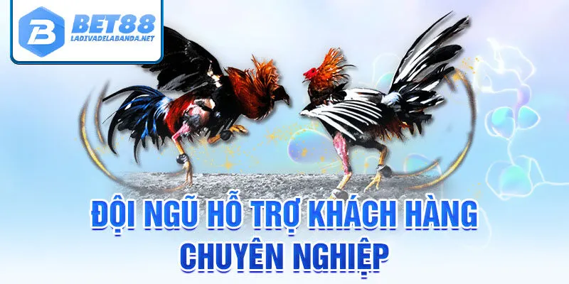 Đội ngũ hỗ trợ khách hàng chuyên nghiệp